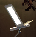 Seagull Floor Lamp